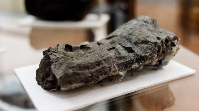 Yandırılmış Herkulanum papiruslarında gizlənən mətnlər tezliklə açıla bilər